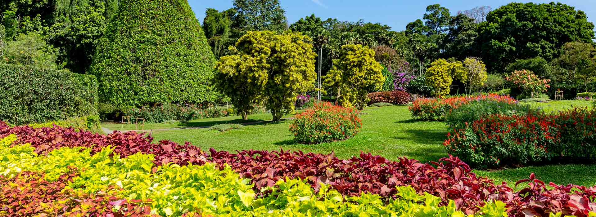 Tales of Ceylon
